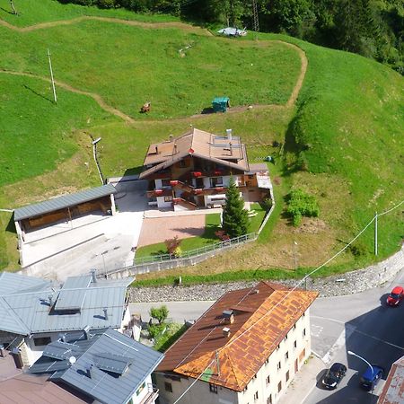 Appartamenti Patrizia San Pietro di Cadore Eksteriør bilde