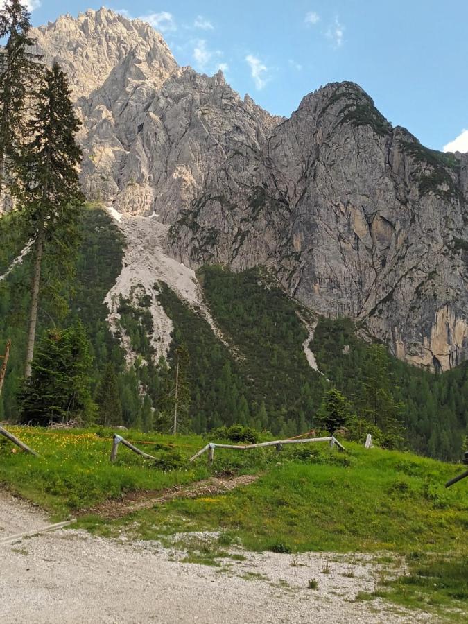 Appartamenti Patrizia San Pietro di Cadore Eksteriør bilde