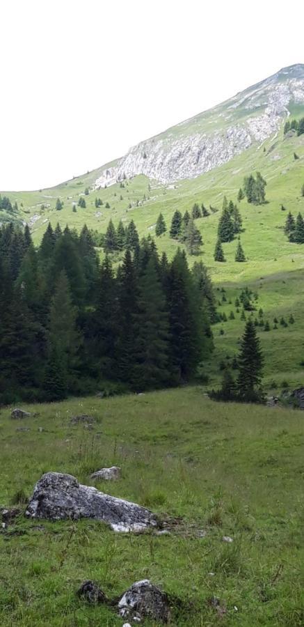 Appartamenti Patrizia San Pietro di Cadore Eksteriør bilde