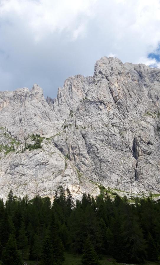 Appartamenti Patrizia San Pietro di Cadore Eksteriør bilde