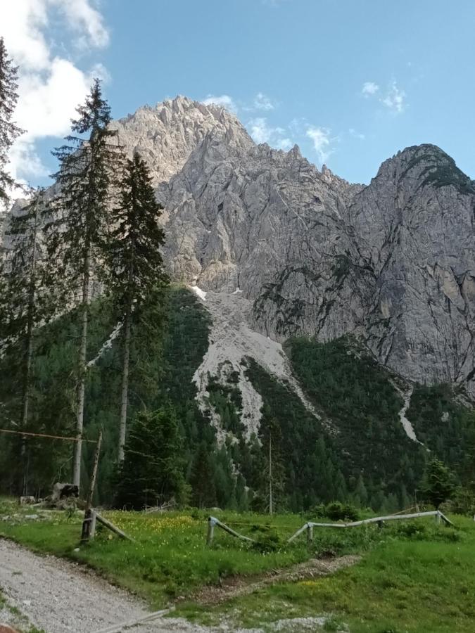 Appartamenti Patrizia San Pietro di Cadore Eksteriør bilde