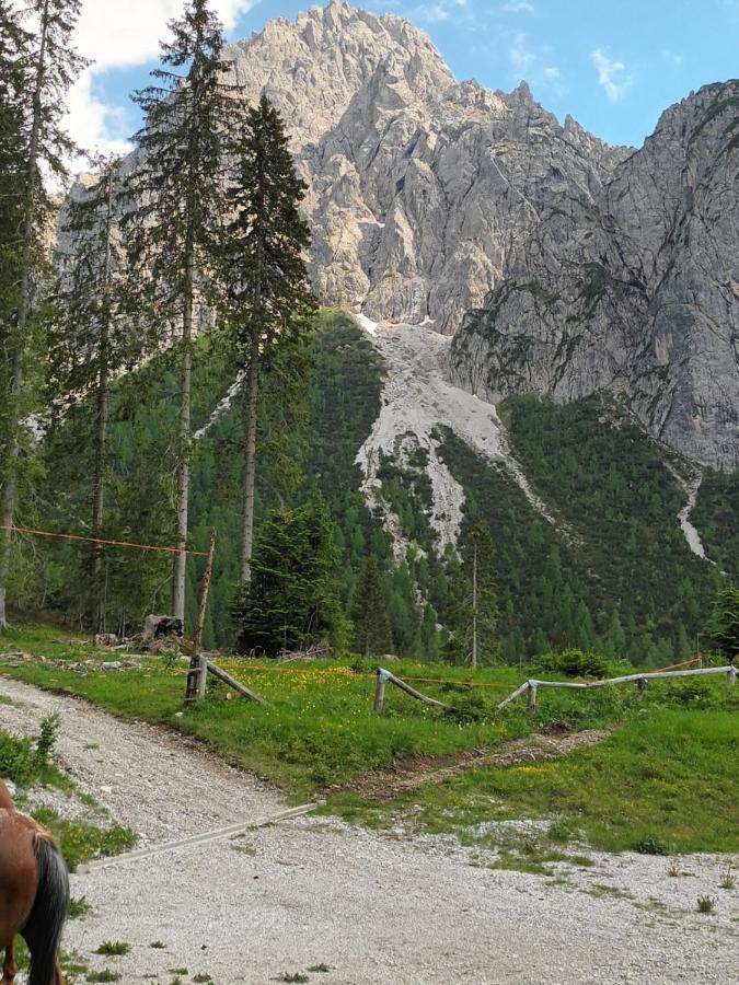 Appartamenti Patrizia San Pietro di Cadore Eksteriør bilde