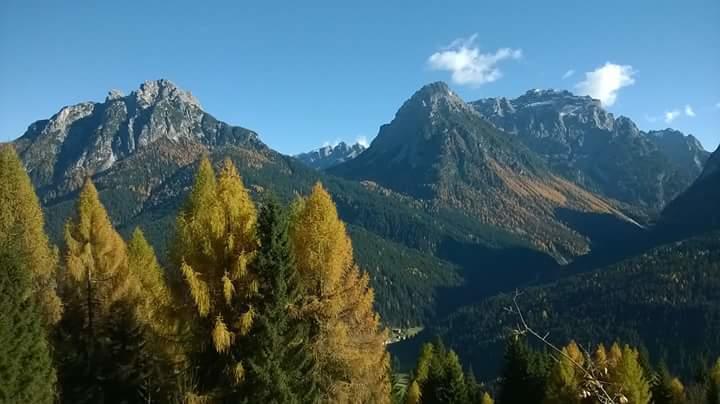 Appartamenti Patrizia San Pietro di Cadore Rom bilde