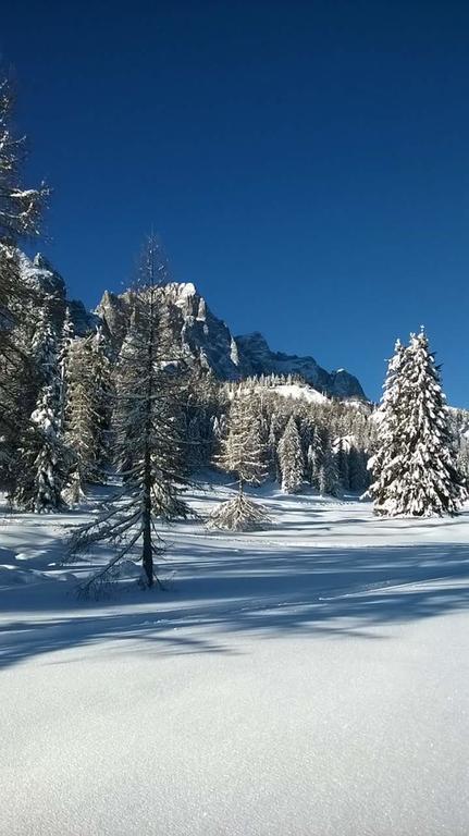 Appartamenti Patrizia San Pietro di Cadore Eksteriør bilde