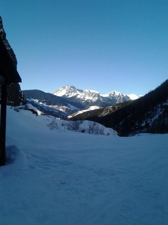 Appartamenti Patrizia San Pietro di Cadore Eksteriør bilde