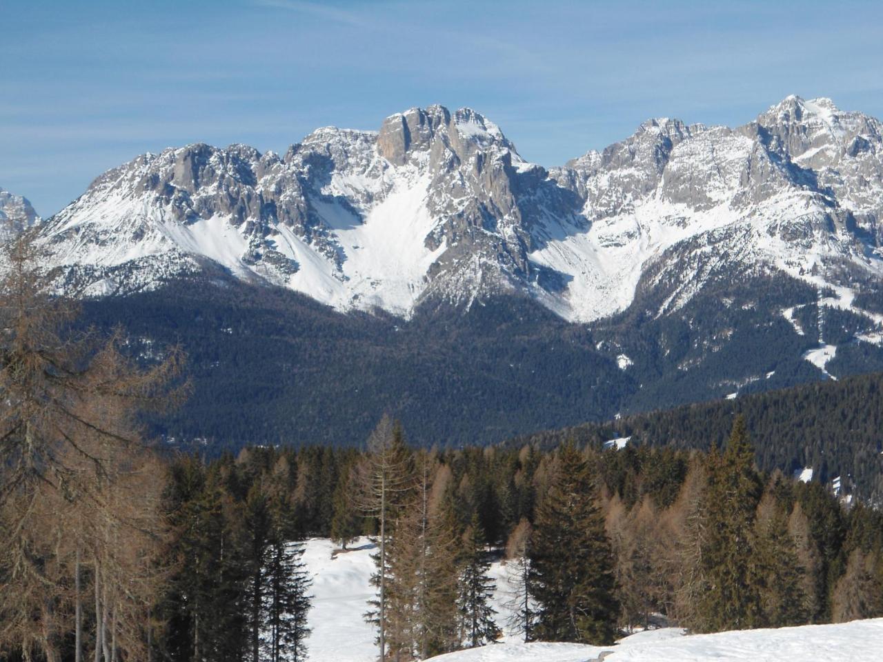 Appartamenti Patrizia San Pietro di Cadore Eksteriør bilde